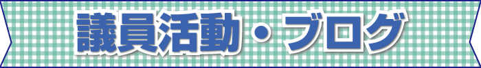 青山まさきの活動