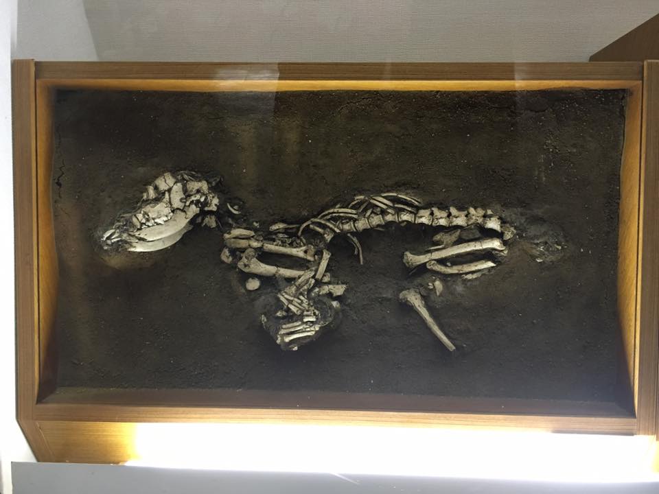 加曽利貝塚縄文まつりの前夜祭